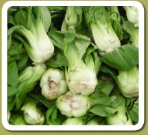 Morgiewiczbabybokchoy